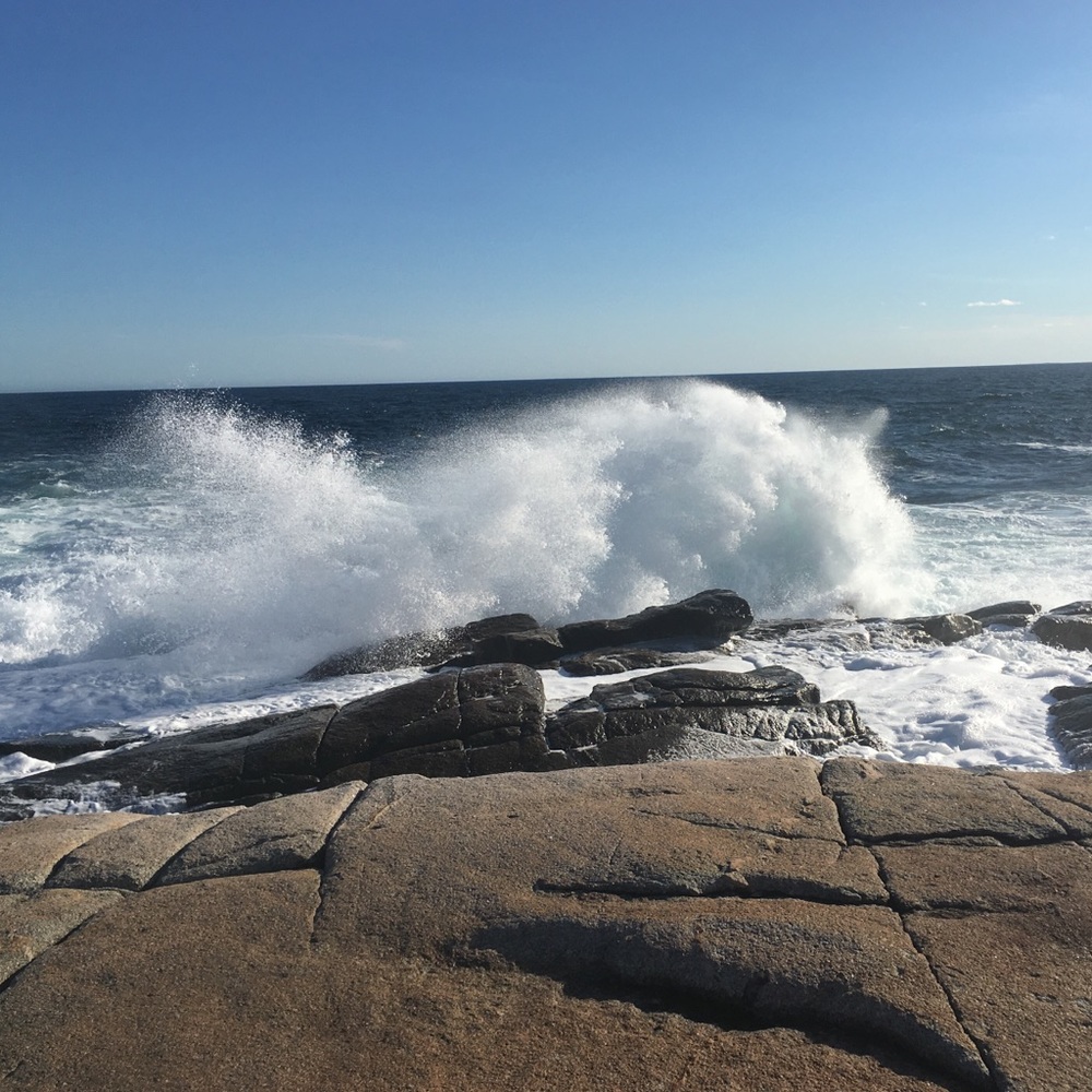 Meet your Posher, Sylvia